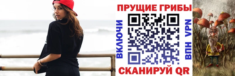 Псилоцибиновые грибы GOLDEN TEACHER  Яранск 